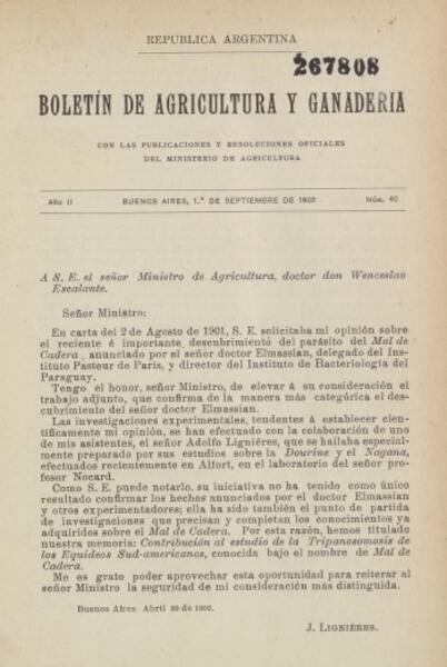 Imagen de la Colección