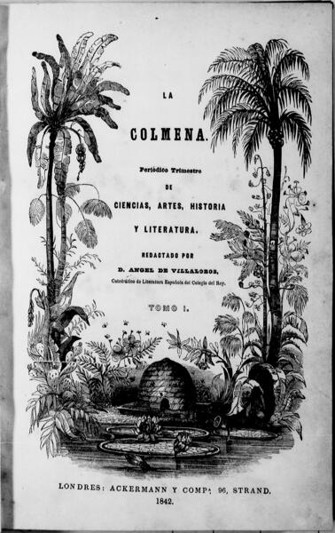 Imagen de la Colección